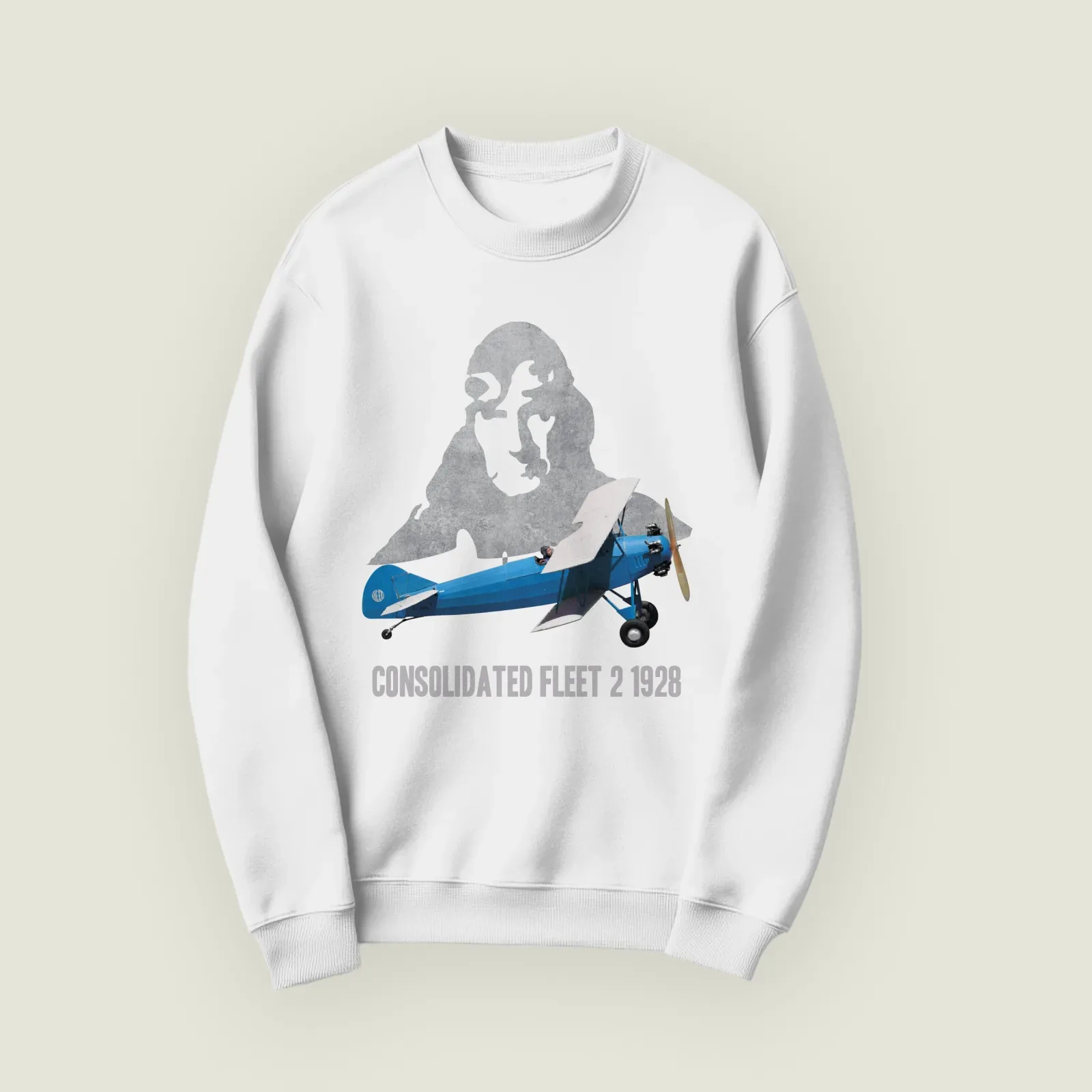 Sudadera Consolidated Fleet 2 1928 Infante
